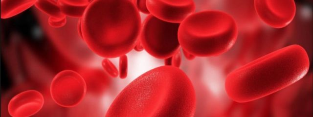 Exame hematológico pode identificar anemia
