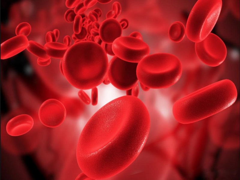 Exame hematológico pode identificar anemia