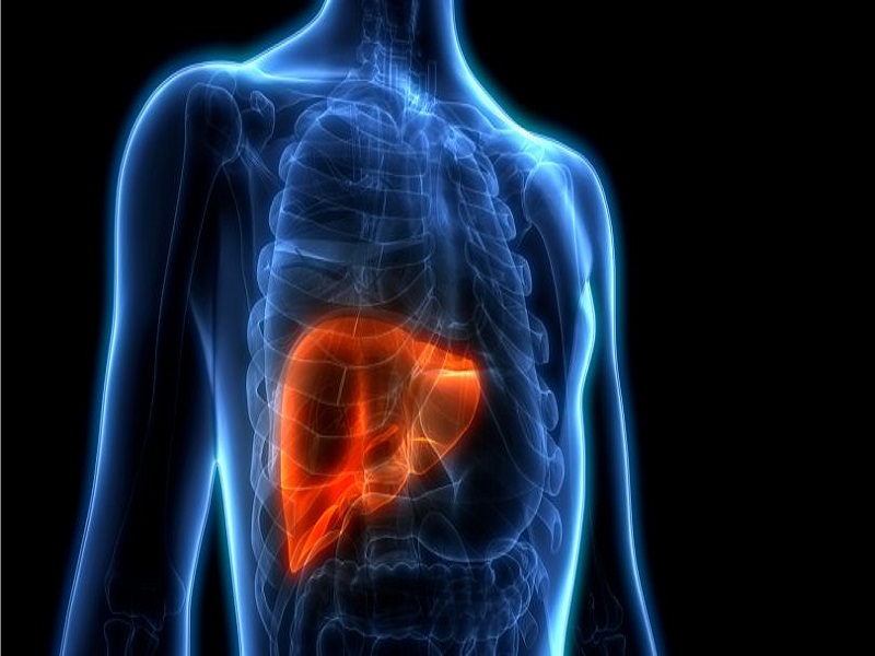 Cuidados com o fígado e como avaliar seu funcionamento