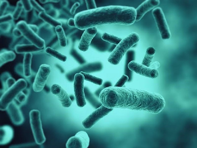 Resistência antimicrobiana: uma ameaça global